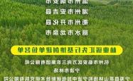 三明创新举措：全国首张“林业碳票投资地图”发布，千亿级绿色项目库吸引跨国资本